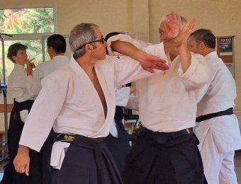 Ude gaeshi